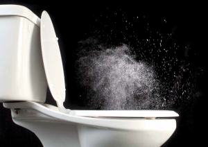 toilet.png