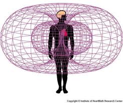 torus human.jpeg