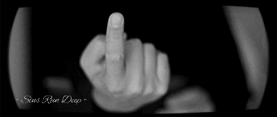tumblr_1067f85416f81a14b239cb7a57ecb4d0_53dc169e_640.gif