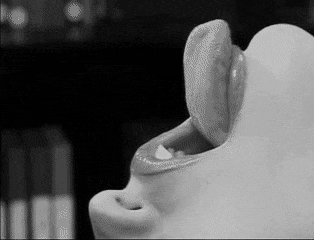 tumblr_e54be3feefaa16675016d0c8a7b2da8f_53d89d11_540.gif