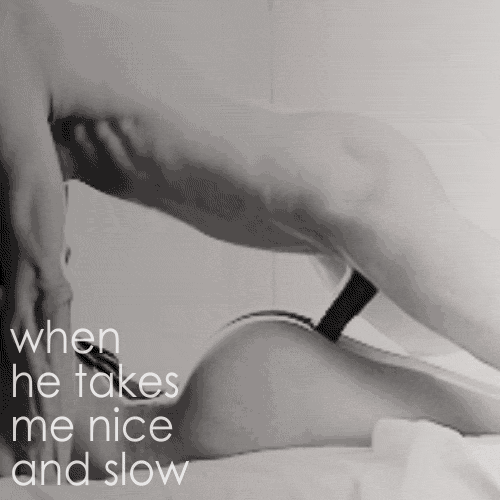 tumblr_my6rmgW1rv1t5cnato3_5003.gif