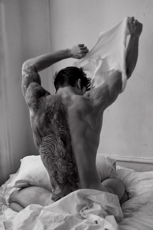 tumblr_nob7335TP61s0f088o1_500.jpg