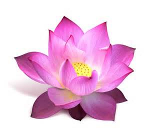 upload_2014-6-26_2-14-59.png
