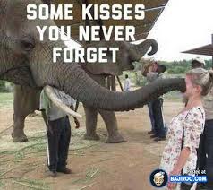 upload_2015-8-6_23-9-59.jpeg