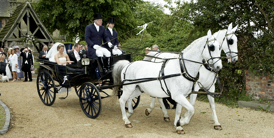 wedd.jpg