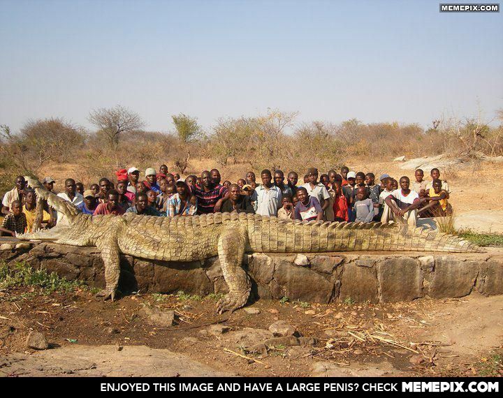 What a load of croc!.jpg