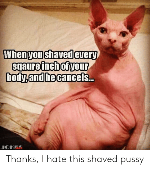 when-you-shaved-every-sqaure-inch-of-your-body-and-67231462.png