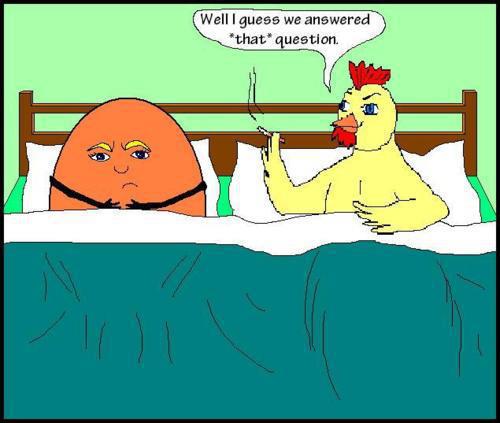Which-came-first-the-chicken-or-the-egg_zpsf5b59203.jpg