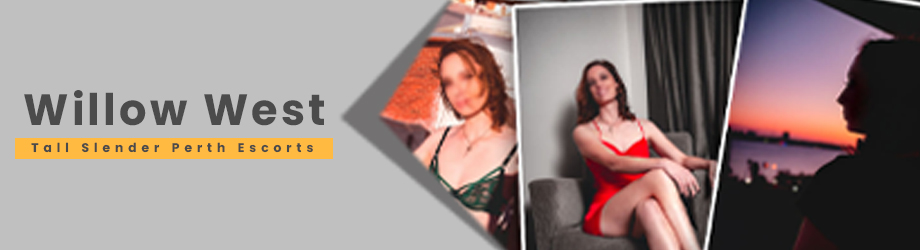 Willow-West-banner.jpg