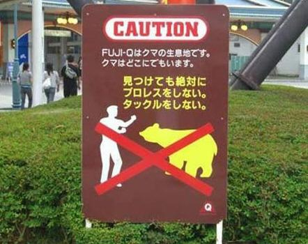 x1380425690.jpg.pagespeed.ic.lP6APiGVKI.jpg