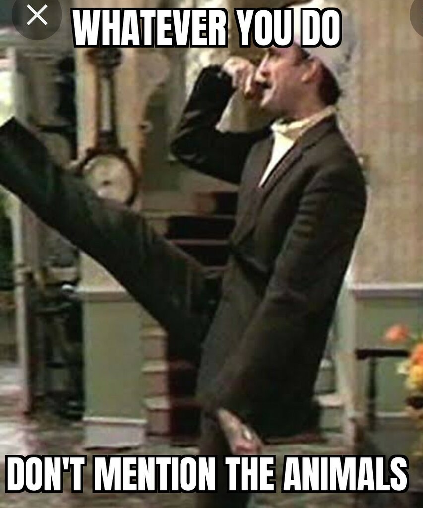 zombomeme28042022125549.jpg