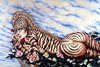 zebra-rose.jpg