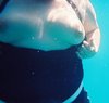 Diving.JPG