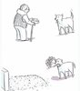 43EED663-D39B-485D-A3B3-4BC8800876BC.jpeg