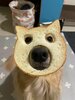 FB86CF7F-8510-40FF-8E63-169F2F49BAAC.jpeg
