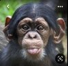 Screenshot_20220610-171749_Pinterest.jpg