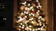Christmas Videos, Download Free 4k Stock Video Footage & Christmas HD Video  Clips
