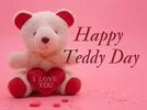 Image result for teddy day special