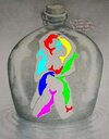 dolphins-colour.jpg