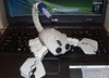 pc-scorpion-funny-sculpture-mouse-keyboard.jpg