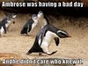 Funny-Hilarious-Pictures-of-Animals-7.jpg
