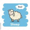 baa.jpg
