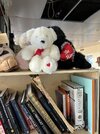 IMG_0865.jpeg