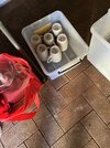 IMG_0894.jpeg