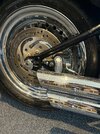 IMG_6230.jpeg