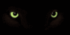 watching.gif