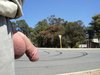 DSC00345.jpg