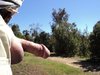 DSC00331a.JPG