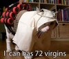 icanhas72virgins.jpg