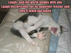 funny-cat-laugh-and-the-wold-laughs.jpg
