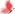 LOC Butterlfy Thumbnail .jpg
