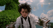 Funny GIF