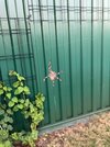 IMG_0875.jpeg