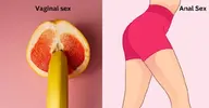 difference-between-anal-and-vaginal-sex_1706966867 (1).webp
