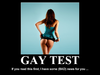 gay_test_by_cristimilan7.png