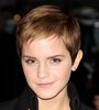 Emma-Watson-Short-Haircut-at-the-David-Latterman-Show.jpg