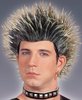 wigspike54099.jpg