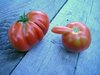 Tomato.jpg