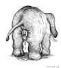 ElephantButtPlug.jpg