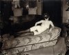 the story prostitutes of new orleans22.jpg