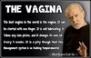 the-vagina.jpg