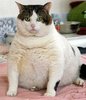 BBW Perth