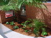 Fernery.jpg