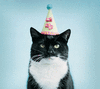 tumblr_llobeu9H6v1qikirwo1_400.gif