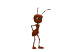 ant-1096401_960_720.png