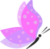 butterfly_massage.png